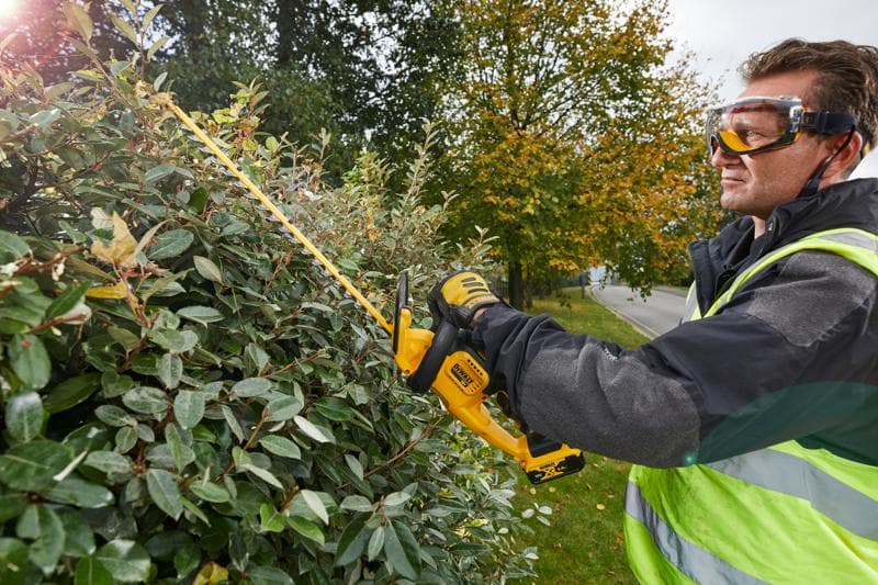 Person schneidet Hecke mit DEWALT DCM563PB Heckenschere draußen neben Straße und Herbstbäumen.