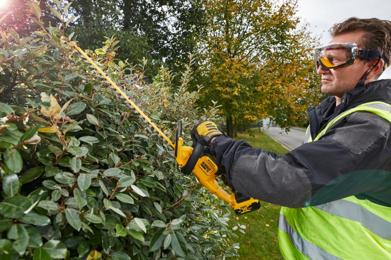 Person schneidet Hecke mit DEWALT DCM563PB Heckenschere draußen neben Straße und Herbstbäumen.